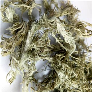 茵陈 绵茵陈灰白色统段 陕西秦岭中药材茵陈茶新货