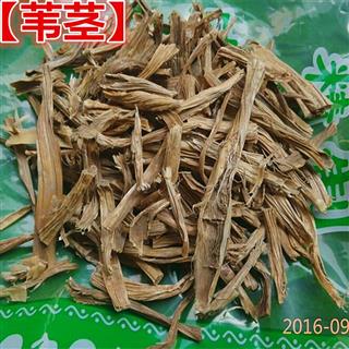 芦苇杆 芦茎 苇茎 芦苇茎 芦根茎 芦苇杆子