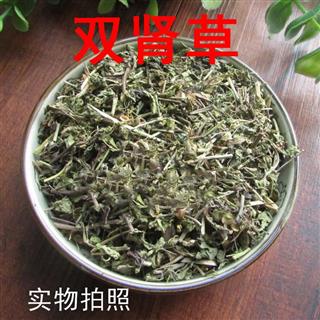 中药材 双肾草 肾阳草 一根葱 秤砣草 坠桃草