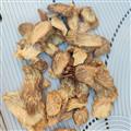 肉蓯蓉 阿拉善保鮮切片 產(chǎn)地 內(nèi)蒙古自治區(qū)阿拉善盟阿拉善左旗