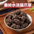 秦嶺山區(qū)道地野生貓爪草 新貨精選
