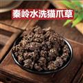 秦岭山区道地野生猫爪草 新货精选