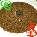 世元藥業(yè) 菟絲子  吐絲子  豆寄生 豆閻王 黃絲藤 金絲藤