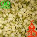 世元药业 茉莉花 抹厉 末莉 末利 木梨花