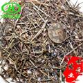 世元藥業(yè) 白花蛇舌草 大花白花蛇草  羊須草 蛇總管 百花蛇舌草
