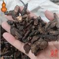 24h药店 生地黄 正品 各种规格