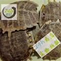 四海商聯(lián) 鱉甲 正品 元魚 批發(fā)花草茶 中藥材 滋補禮品 參茸名貴