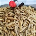 常年供应电商真正纯野生无硫野生麦冬-川麦冬，为野生采挖，药性好，泡茶，煲汤、药用