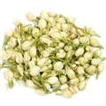 茉莉花浓香茉莉花  