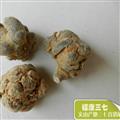 特级文山三七无数头到15头 质量咨询15288688820