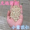 薏米 小薏米  薏苡仁 产地 贵州省