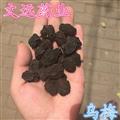 乌梅 选装  产地 四川省德阳市市辖区