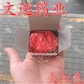 朱砂 水飛朱砂 紅色 風(fēng)水,鎮(zhèn)宅,辟邪,驅(qū)鬼,開光,點睛必備,招財 產(chǎn)地 湖南省湘潭市市轄區(qū)