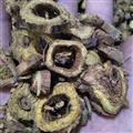 黄芩 野生枯芩统片 产地 内蒙古自治区