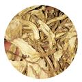 当归 当归统片 产地 甘肃省 德誉堂药业批发各种中药材