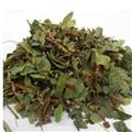 雞骨草 選 黃頭草 大黃草 黃仔蔃 批發(fā)冷背奇中藥材 花茶
