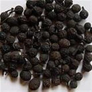 新辉药业正品荜澄茄 山苍子 山鸡椒 山香椒 山胡椒 干木姜子