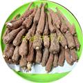紅皮白芷  統(tǒng)貨 重慶市產(chǎn)