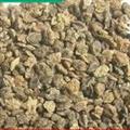 小丽百草行中药材地肤子黑龙江产地地肤子