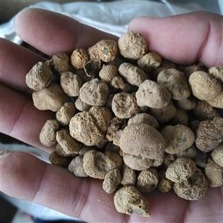 元胡 大统 产地 浙江省_中药材诚实通