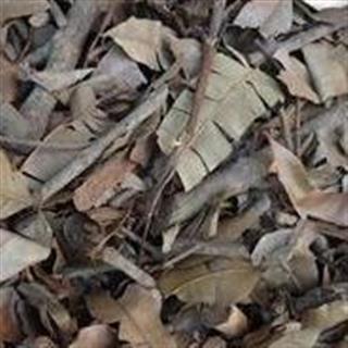 新辉药业正品横经席 梳篦王 跌大将军 正品 保质_中药材诚实通