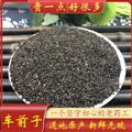 车前子 统货 产地 江西省 凯捷中药