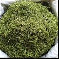 2024年最新貨 優(yōu)質(zhì)金銀花茶花 山銀花統(tǒng)貨 隆回小沙江產(chǎn)地貨