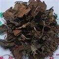 中药材 鹿含草 鹿衔草 批发 促销 正品
