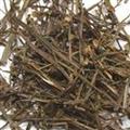 京辉药业 半枝莲 优质 正品 促销