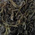 京輝藥業(yè) 馬尾連 馬尾蓮 金絲馬尾連 正品 優(yōu)質(zhì) 促銷
