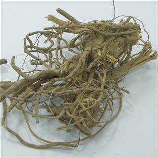 十八症根(大肠风 批批检验 正品博信 统货(原药 产地 广西壮族自治