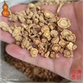 四海商联 防风片 选片 家种 秧播 泛油片 防风 精选0.8-1.2家种