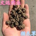 猫爪草 精选 选装 猫爪草 猫抓草  小毛茛 产地 河南省南阳市市辖区