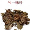 灵吉药业  独一味叶 地产药材 批发各种规格中药材 花茶 矿石