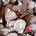 甘草 粉草 甜草 美草 蜜甘 国老 精选甘草 产地 甘肃省