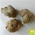 特级文山水洗三七