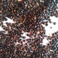 靈吉藥業(yè)  水紅花子  批發(fā)各種規(guī)格中藥材 花茶 礦石 冷背珍稀野生藥材