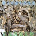 玄參 元參大片 烏黑無(wú)硫 新店上線(xiàn) 規(guī)格齊全同穩(wěn)藥材量大從優(yōu)