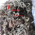 灯盏细辛 地顶草 灯盏花地朝阳 双葵花 东菊 灯盏草 牙陷药 罐儿草 统货 正品 优质 名医最爱 产地 四川省