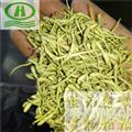 世元藥業(yè) 綠金銀花 不摻山銀花 請仔細(xì)辨別購買 綠色殺青花雙花 二花