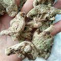 白及 纯正品三叉白芨 精选白芨特大选个 无硫白芨个 产地 贵州省遵义市绥阳县