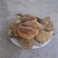 产地直销，五倍子，量大价更优