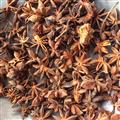 八角茴香  大茴香  統(tǒng) 產地 廣西壯族自治區(qū)