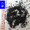 韭菜子 统韭菜籽批发