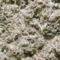 靈吉藥業(yè)  茵陳  綿茵陳,新貨干品, 批發(fā)各種規(guī)格名貴藥材 中草藥 花茶 礦石 籽粒仁 冷背藥材