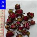 月季花 01统 