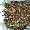 紫蘇梗 紫蘇梗 統(tǒng)貨 產(chǎn)地 安徽省 買好藥找娟子