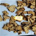 蒼術(shù) 02統(tǒng)帶朱砂點(diǎn) 產(chǎn)地 河北省承德市興隆縣