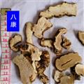 重楼 贵州03片  产地 贵州省毕节市