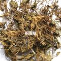 积雪草 统货 产地 广东省 凯捷中药